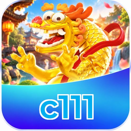 c111 Version History