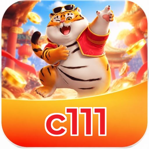 c111 App Features