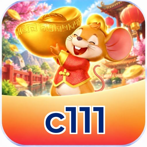 c111 Security Analysis