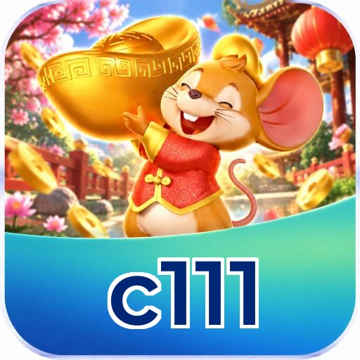 c111 System Requirements